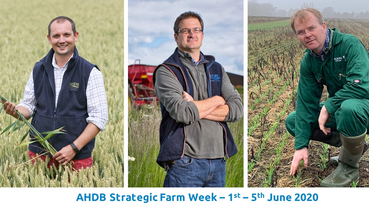 AHDB. AHDB Strategic Farm Week - 1st - 5th June 2020.